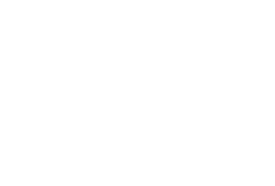 SteerStar Logo